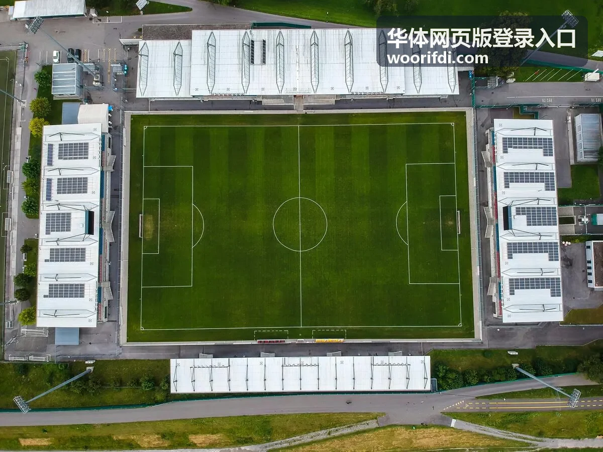 华体网页版登录入口网络核对指引封面